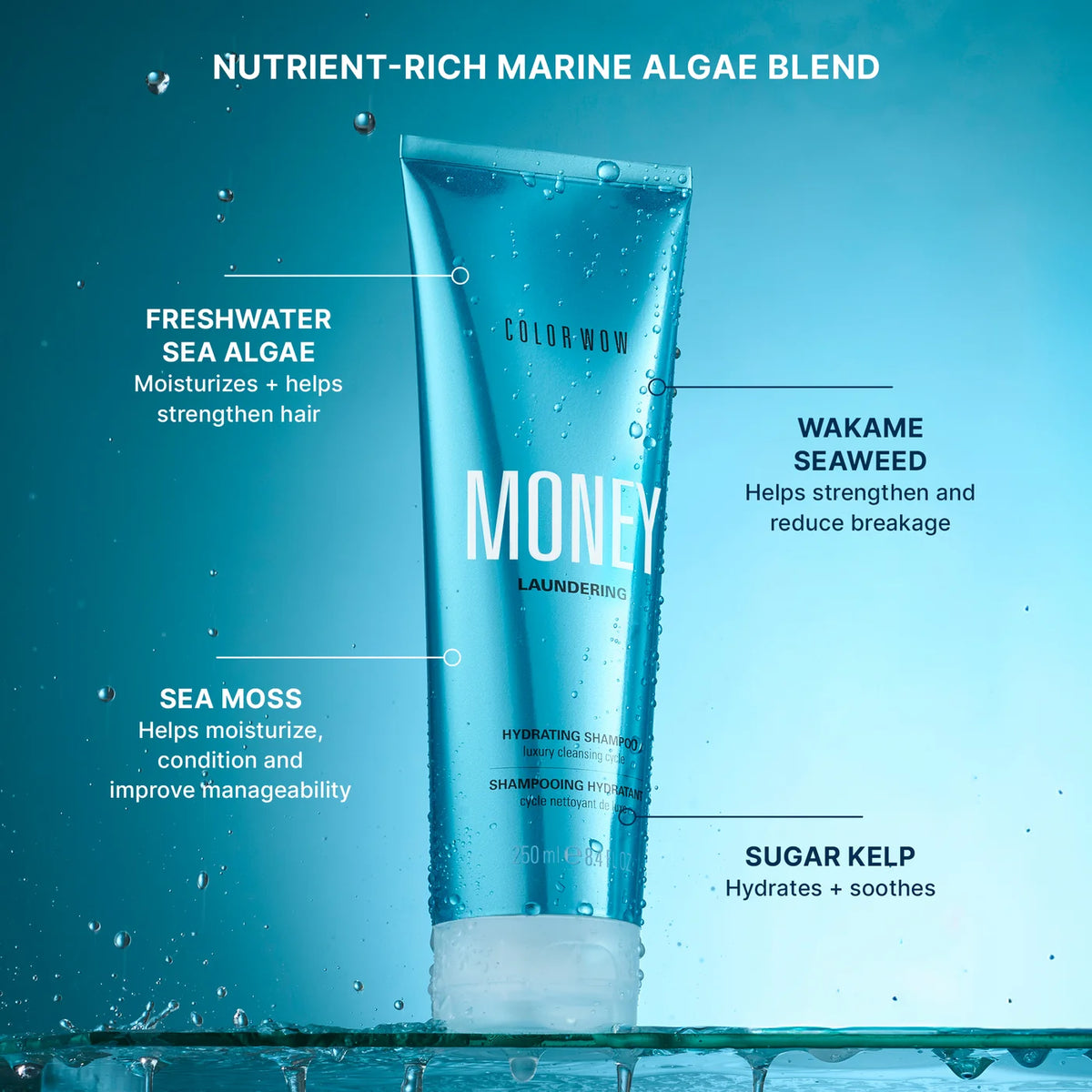 Money Laundering Shampoo + Conditioner Set